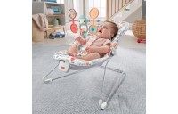 Fisher-Price Sweet Summer Blossoms Baby Bouncer - Clearance Sale