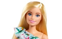 Barbie and Chelsea The Lost Birthday - Barbie Doll and Accessories - Clearance Sale
