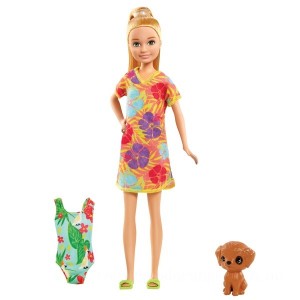 Barbie and Chelsea The Lost Birthday - Stacie Doll and Accessories - Clearance Sale