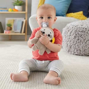 Fisher-Price Clipimal Sloth - Clearance Sale