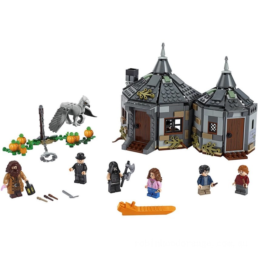 LEGO Harry Potter: Hagrid’s Hut Hippogriff Rescue Set (75947) - Clearance Sale