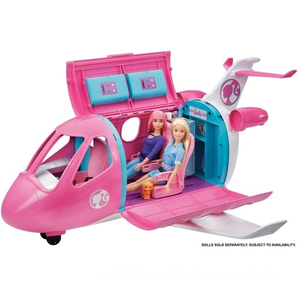 Barbie Dreamplane Playset - Clearance Sale