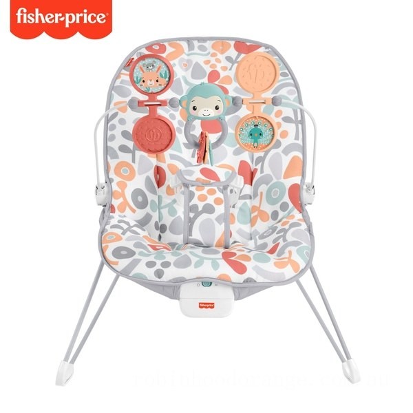 Fisher-Price Sweet Summer Blossoms Baby Bouncer - Clearance Sale