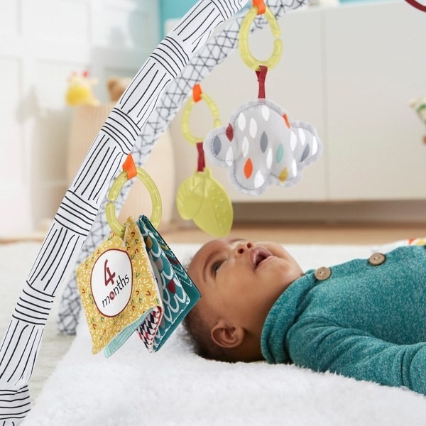 Fisher-Price Perfect Sense Deluxe Gym Baby Play Mat - Clearance Sale