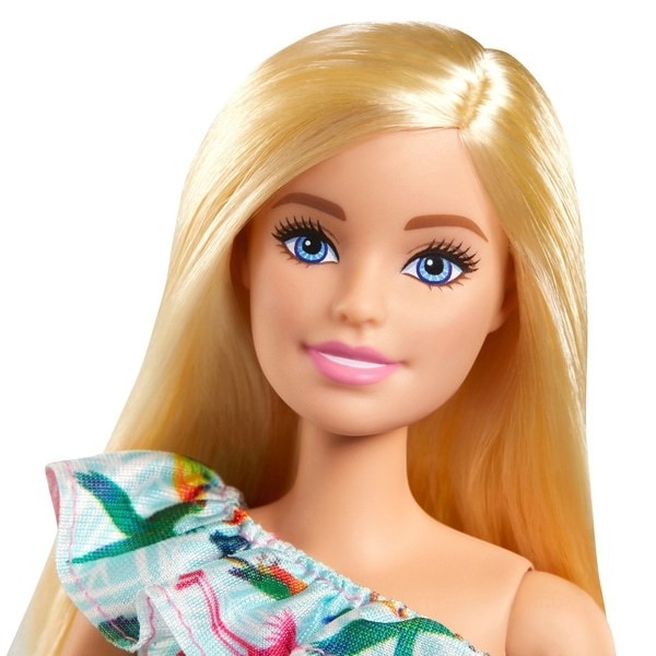 Barbie and Chelsea The Lost Birthday - Barbie Doll and Accessories - Clearance Sale