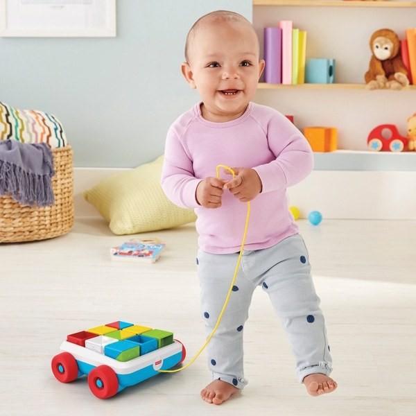 Fisher-Price Pull-Along Activity Blocks - Clearance Sale